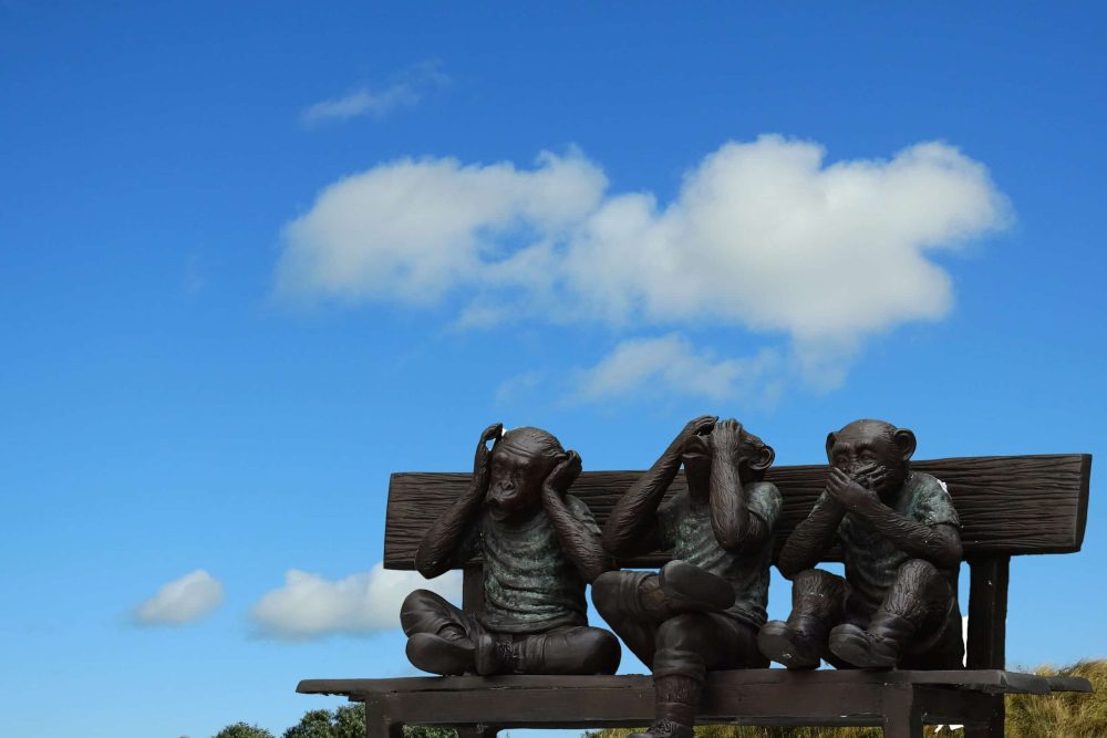 pexels-pixabay-206784